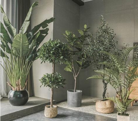 仿真植物