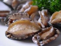 鮑魚