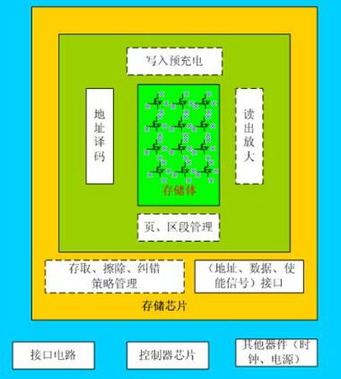 惦