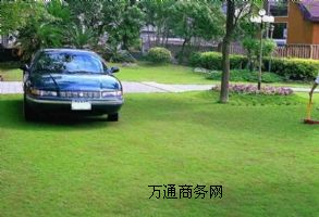 VݽƷ|(zh)ֲݸ