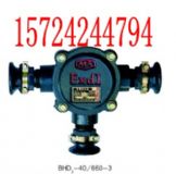 BHD2-40/3Vø͵͉|Ӿ