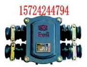 4ͨVøͽӾ(xin)BHD2-100/4TӾ(xin)