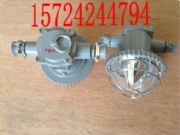 DGS18/127L18WA18WL