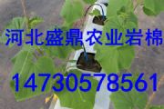 ˮʢor޴l(f)