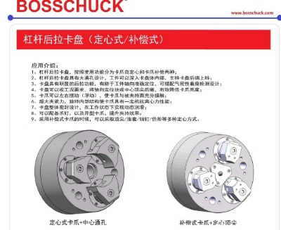 bosschuckܗUPַ֧ǘ(bio)֧־SޱB(yng)