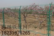 @FzW(wng)ɽW(wng)(chng)؇ھW(wng)(D)