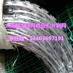 ̫ԭP䓵Ƭ̾W(wng)ɽKoW(wng)xǱO(jin)zW(wng)