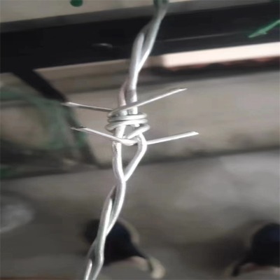 ӱFzSҹ(yng)P(yng)ݵ·B(yng)o(h)Fz(zhn)·B(yng)o(h)дFzW(wng)