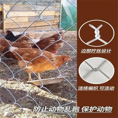 ӱV^W(wng)SFzбھW(wng)_B(yng)ֳP䓽zW(wng)