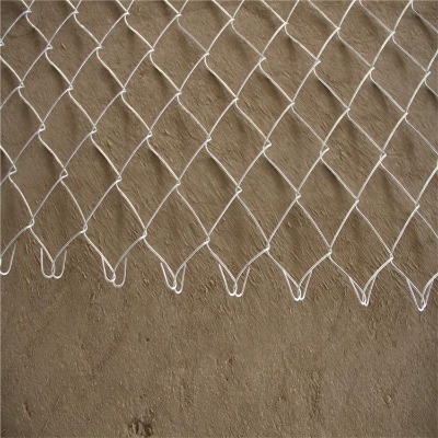 8mmְzoھW(wng)ͿW(wng)P䓹W(wng)