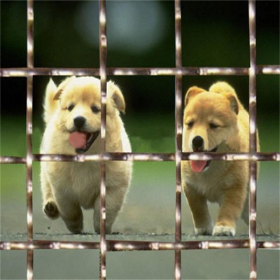 ӱ65i䓺YW(wng)Sҹ(yng)е45̖(ho)䓺YW(wng)65i䓺YW(wng)