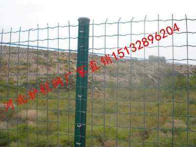 oھWhB(yng)ֳھWݽܺmW