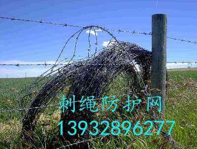 ɽ|С^(q)^IW(wng)2.5״50LSҬF(xin)؛(yng)