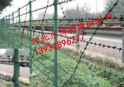 ɽ|F޼FzW(wng)2.5״50LSҬF(xin)؛(yng)