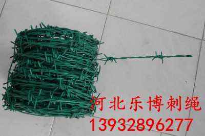 ƽKSҬF(xin)؛FzIW(wng)T(mn)^ϷIFz̾W(wng)