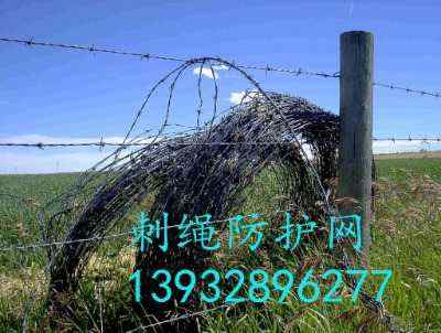 ƽKSҬF(xin)؛ӱ\Fzݸٹ·ȫW(wng)