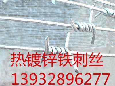 ½·FzW(wng)͹·䓽zW(wng)