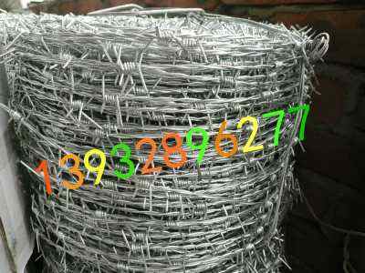 Vٹ·дFzW(wng)όٹ·F޼