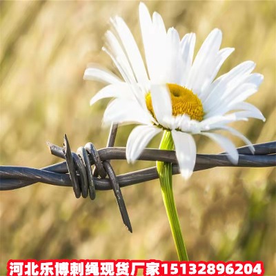 ˮ\KF(xin)؛SҺԭ߅峣@KW(wng)