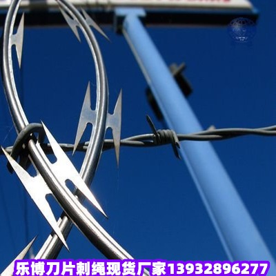 _oƬ̾W(wng)_|O(jin)zoW(wng)O(jin)zo
