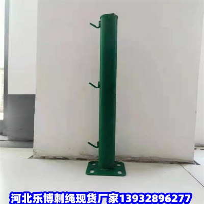 䓽zIW(wng)ɽ䓽zW(wng)ͨݷIW(wng)