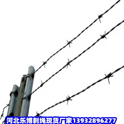 ϺP䓎FzW(wng)RPFzW(wng)lP䓽zW(wng)