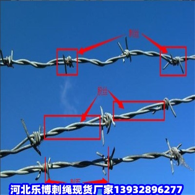 |дFzW(wng)(yng)\F޼BȦ䓽zW(wng)
