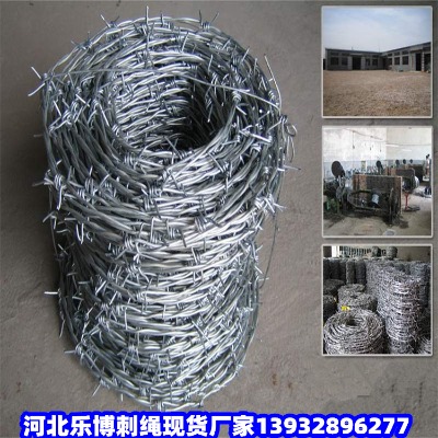 㽭P䓎FzW(wng)xȦشFz|ȦɽF޼