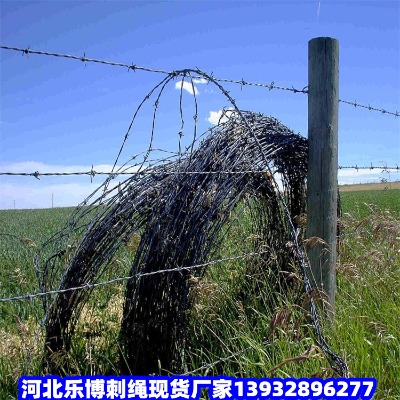 㽭̽zW(wng)h(hun)Ȧɽ䓽zW(wng)؎X\䓽zW(wng)