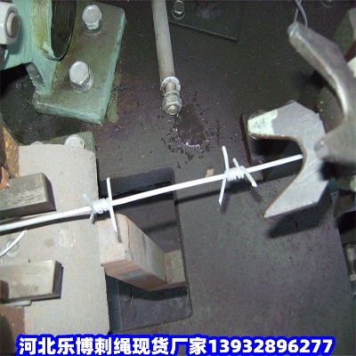 ȦFzW(wng)Ƽl(xing)·䓽zW(wng)๫·Fz