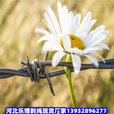 ޼h^IWSʯ̽zW