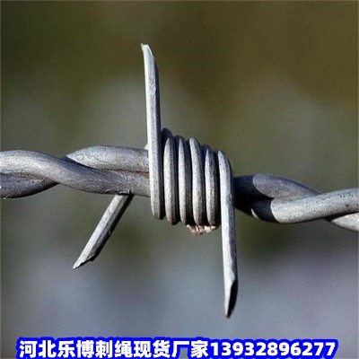 \䓽zW(wng)GTF̾W(wng)Тз̾W(wng)