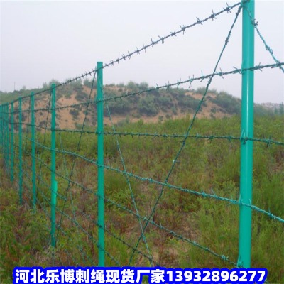 ֎Fz鲻P䓴KmPF޼