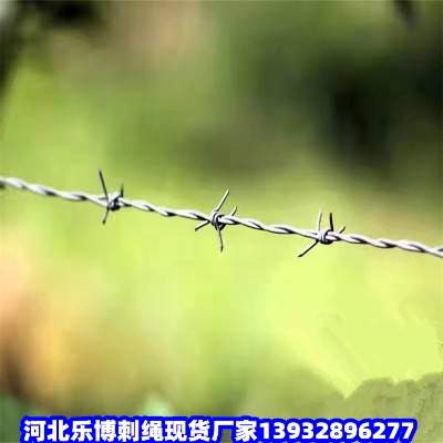 С^(q)^IW(wng)\FzW(wng)RPF޼