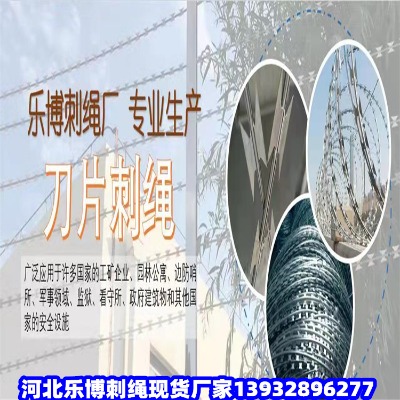 IFz̾W(wng)峣·B(yng)o(h)FzGӵ·B(yng)o(h)䓽zW(wng)