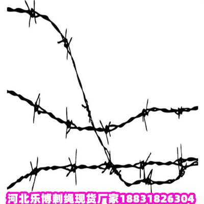 Ĵ\KS Vxo(h)ھW(wng) Ї