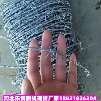 \KS ұС^(q)^IW(wng) ڷ̾W(wng)