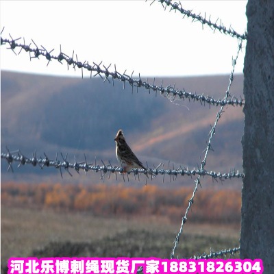 \KS l(xing)\䓽zW(wng) ꖟ\Fz