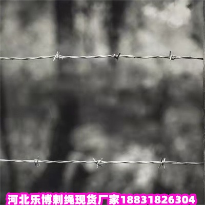 _(ti)\KS _(ti)\K ±K̾W(wng)
