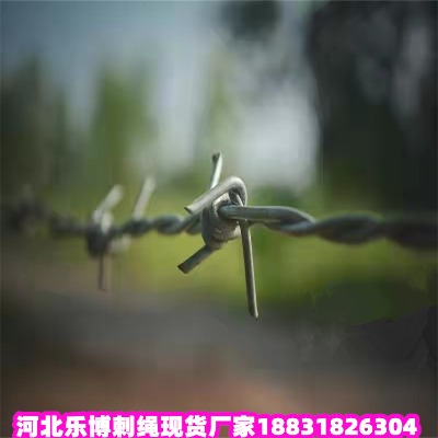 _(ti)\KS |FzW(wng) mF̾W(wng)