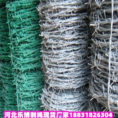 \KS _5FFzW(wng)