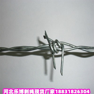 ӱ\KS \Fz ¹Ȫ\䓽zW(wng)