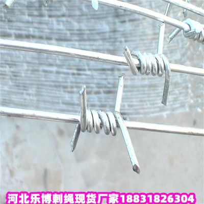 \KS Ƽl(xing)䓽zK FzW(wng)