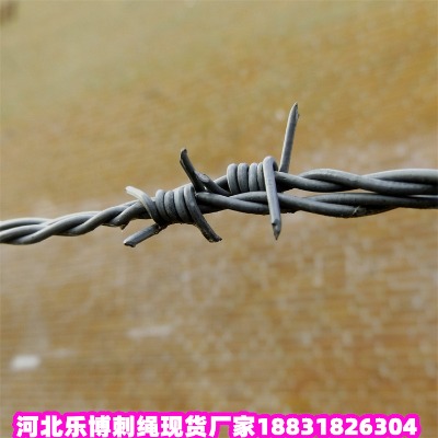 \KS c14̖\дFzW(wng)