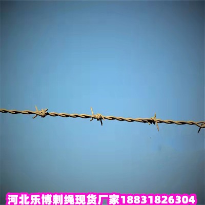 㽭\KS 14̖(ho)ȦдFzW(wng)