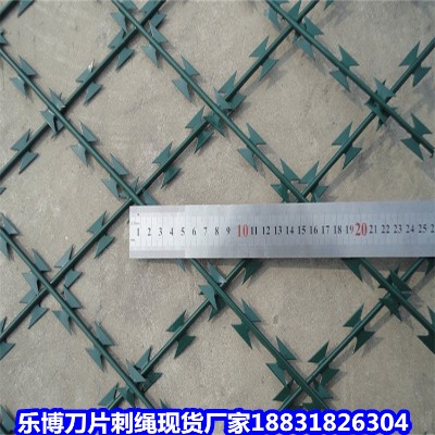 \KS 7IW(wng) Q8W(wng)