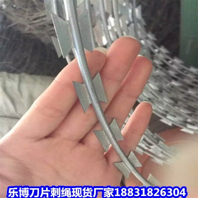 \KS 12̖W(xu)УС^(q)IW(wng)