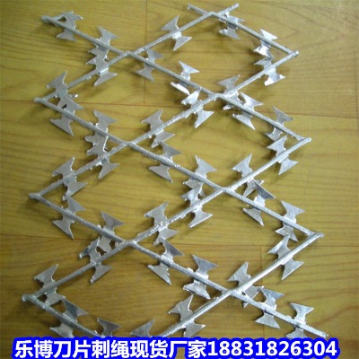 \KS (xing)ǵƬ̽zL\ L(zhng)