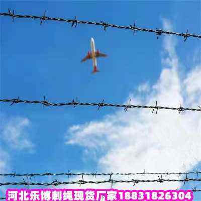 ƽ\KF(xin)؛S҃(ni)ɹň@־Go(h)W(wng)͏נGɫF