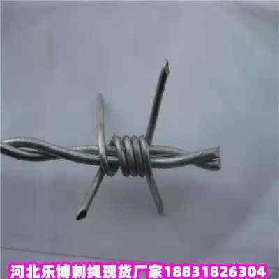 ƽ\KF(xin)؛SҺӱȦ؎FzW(wng)ʯfȦFzW(wng)
